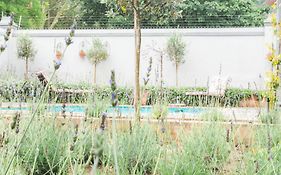 Olive Tree Boutique Hotel